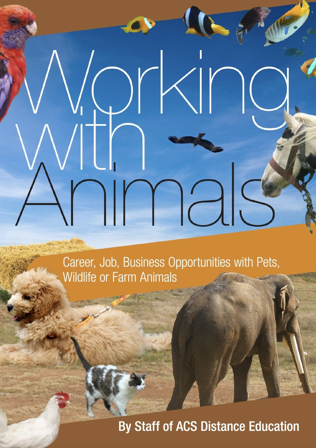 working-with-animals-a-guide-to-careers-with-animals-agriculture